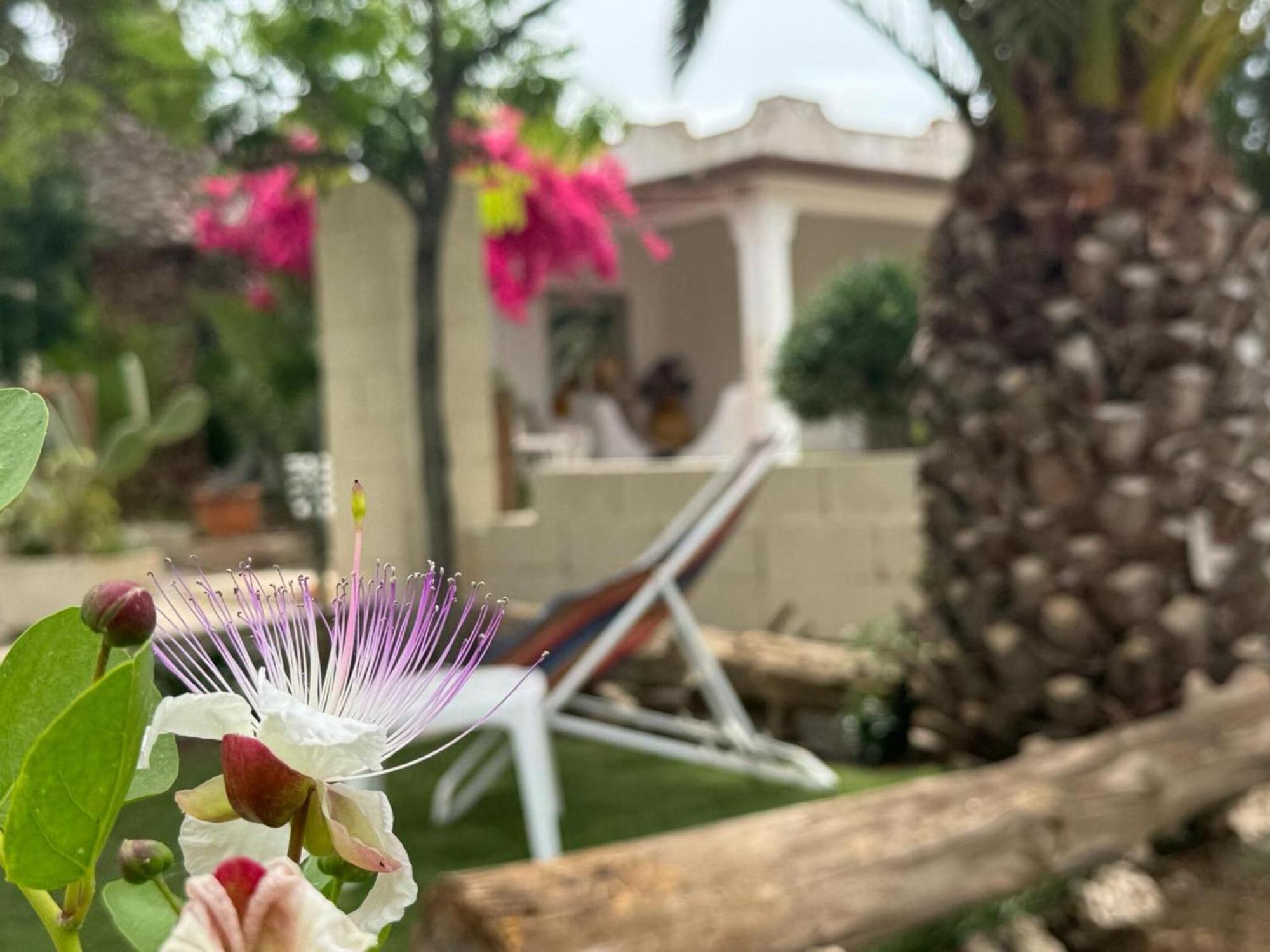 Villa Torretta - Mare Salento Марина-ді-Ліццано Екстер'єр фото