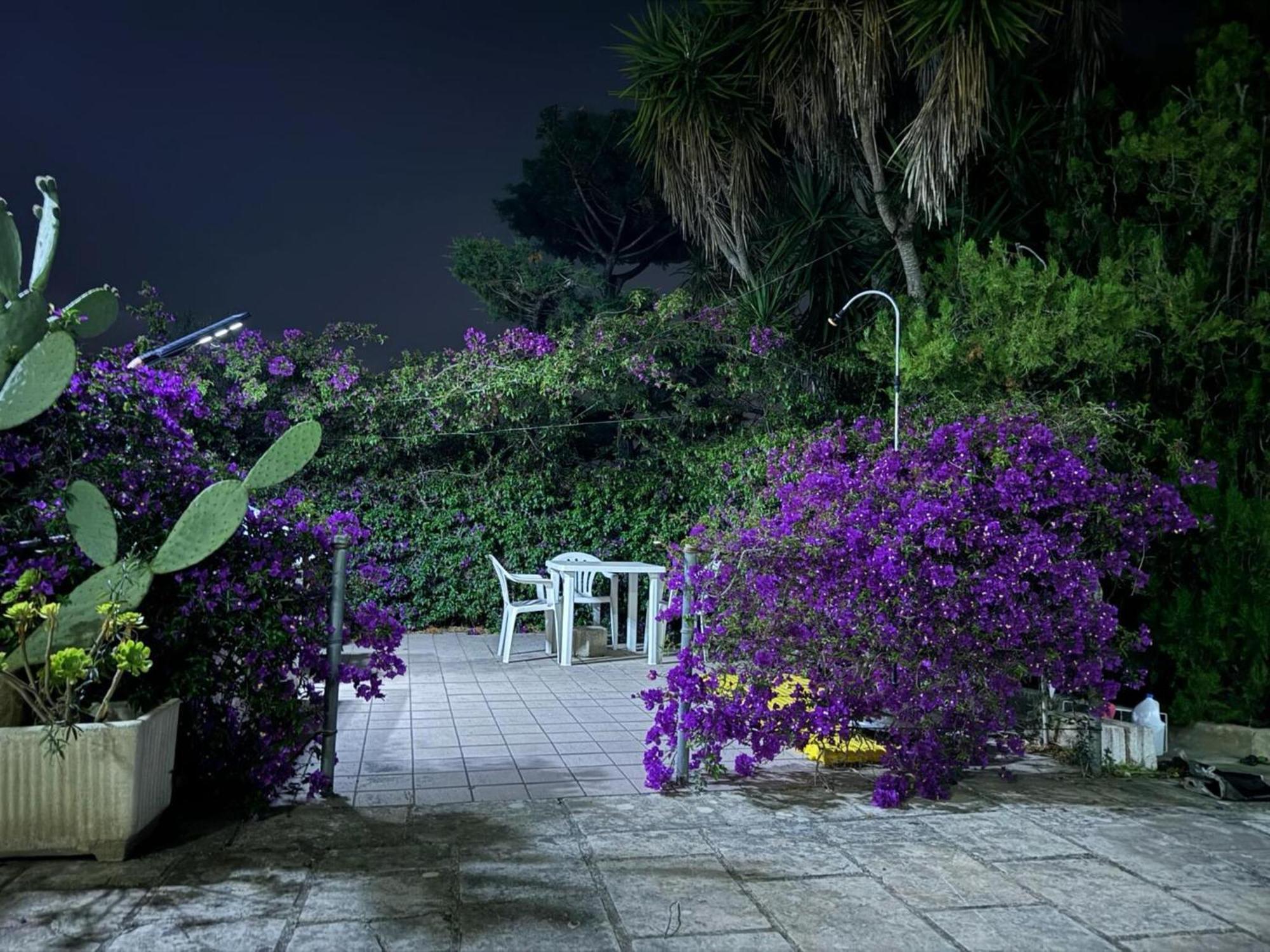 Villa Torretta - Mare Salento Марина-ді-Ліццано Екстер'єр фото