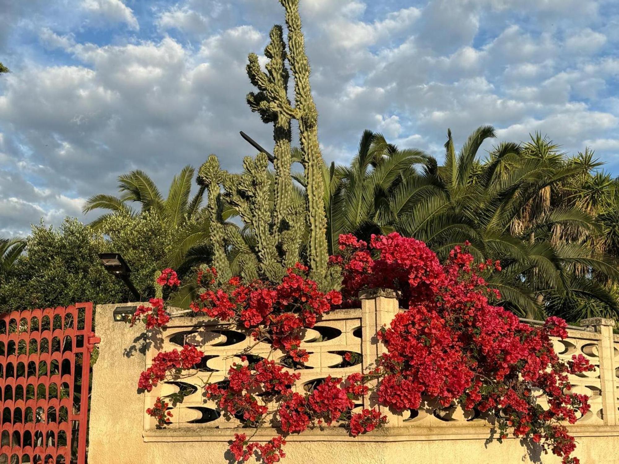 Villa Torretta - Mare Salento Марина-ді-Ліццано Екстер'єр фото