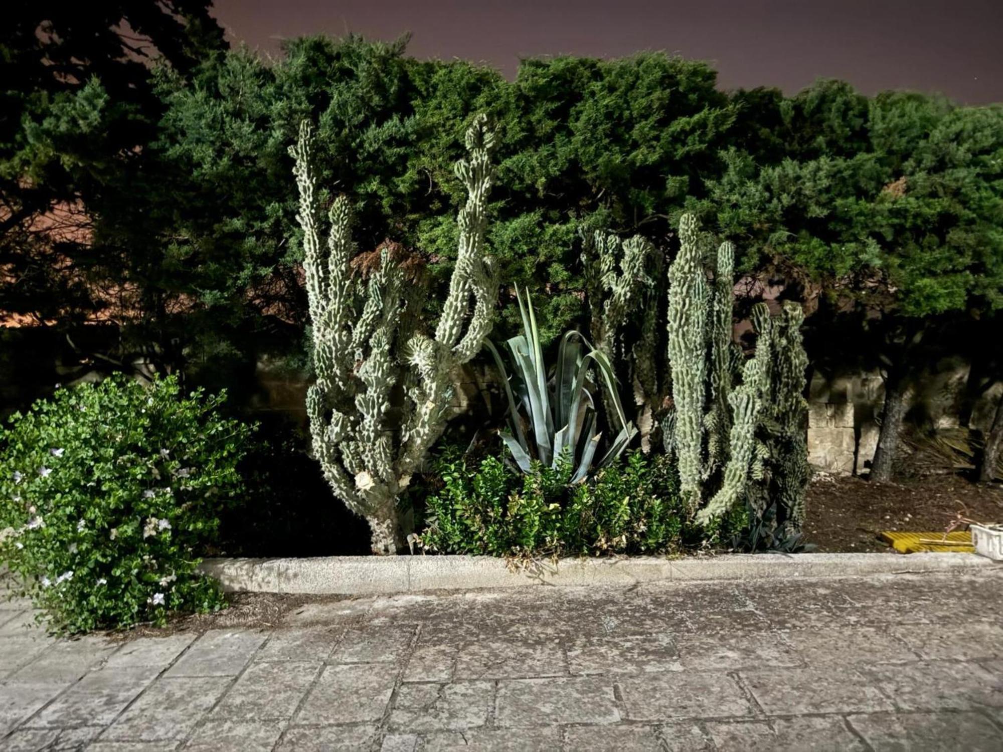 Villa Torretta - Mare Salento Марина-ді-Ліццано Екстер'єр фото