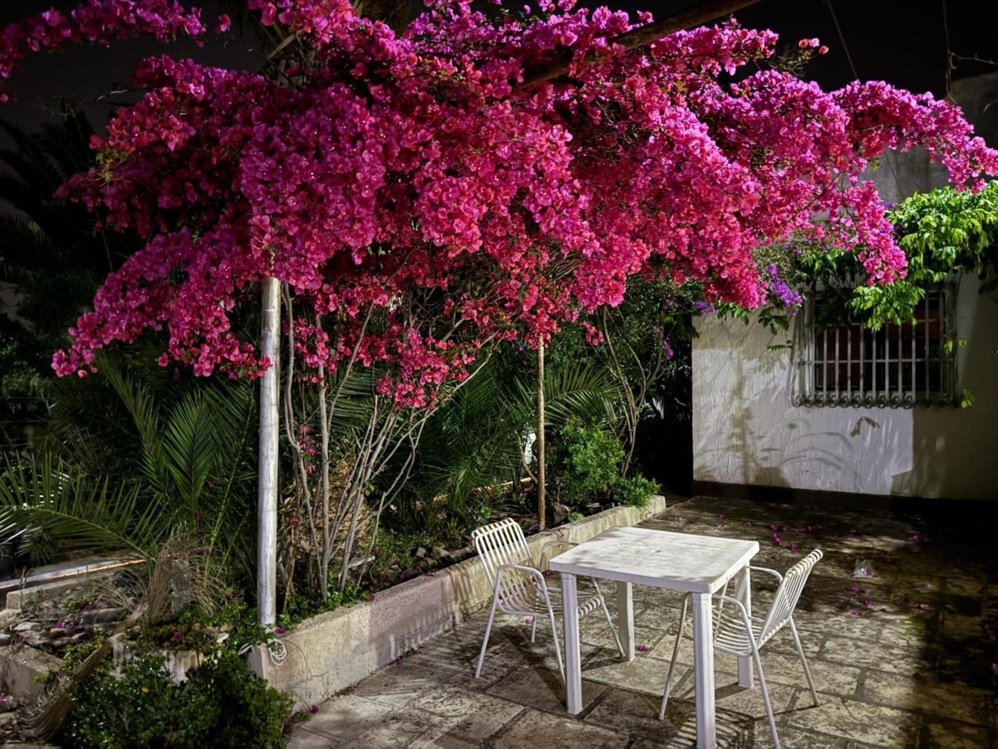 Villa Torretta - Mare Salento Марина-ді-Ліццано Екстер'єр фото